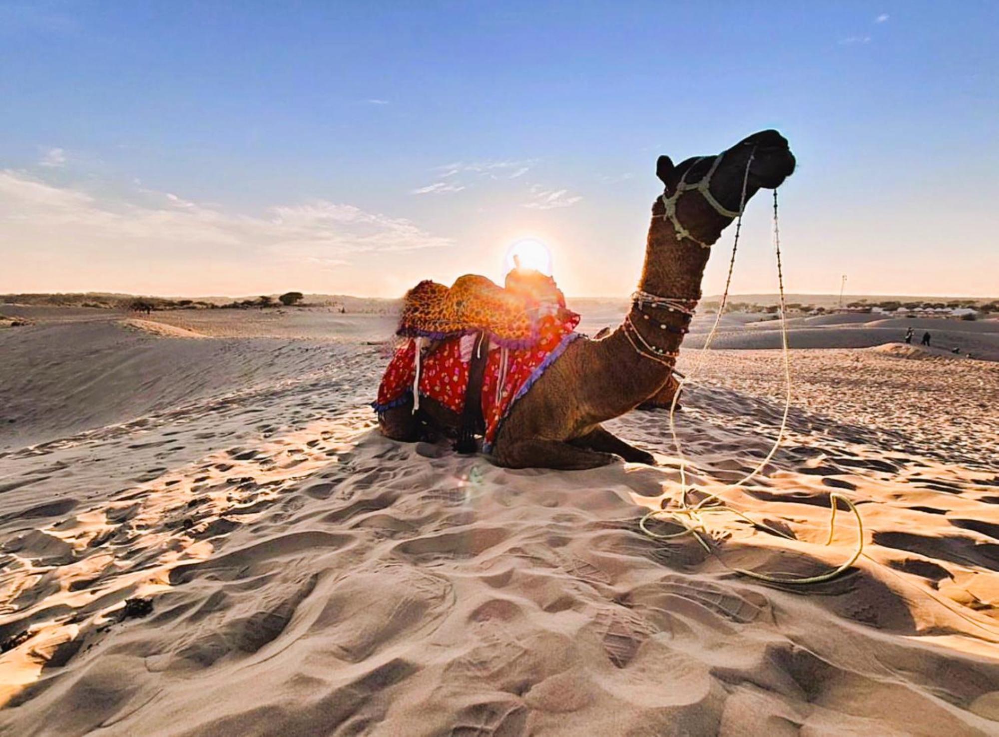 Jaisalmer Sand Dunes Luxury Camp And Resort 외부 사진