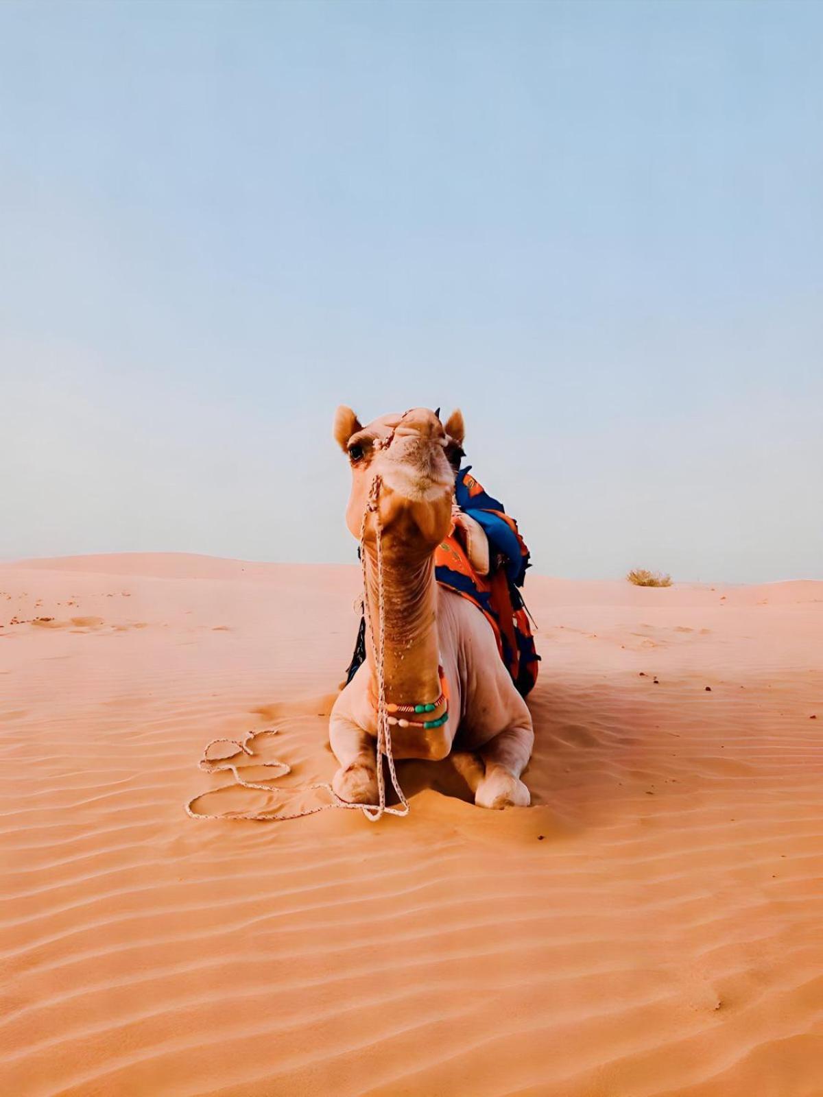 Jaisalmer Sand Dunes Luxury Camp And Resort 외부 사진